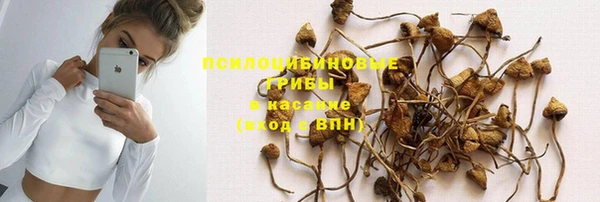соль курить ск Алексеевка